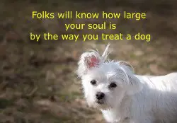 Quote About Dogs