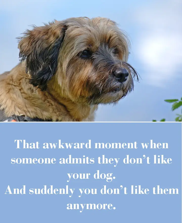That awkward moment when someone admits they don’t like your dog. And suddenly you don’t like them anymore.