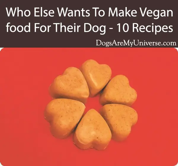 No Bake Vegan Dog Treats