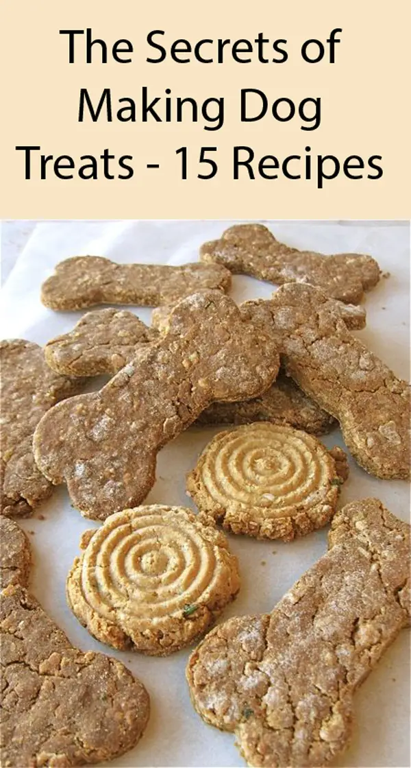 Best Of Breed Dog Biscuits