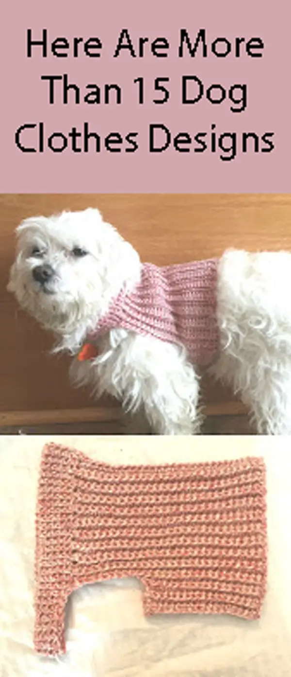 Diy Crochet Dog Sweater