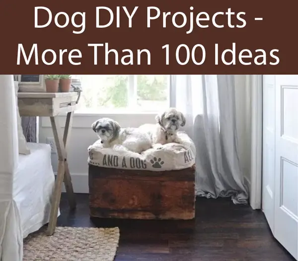 Diy Dogs Bed With Storage