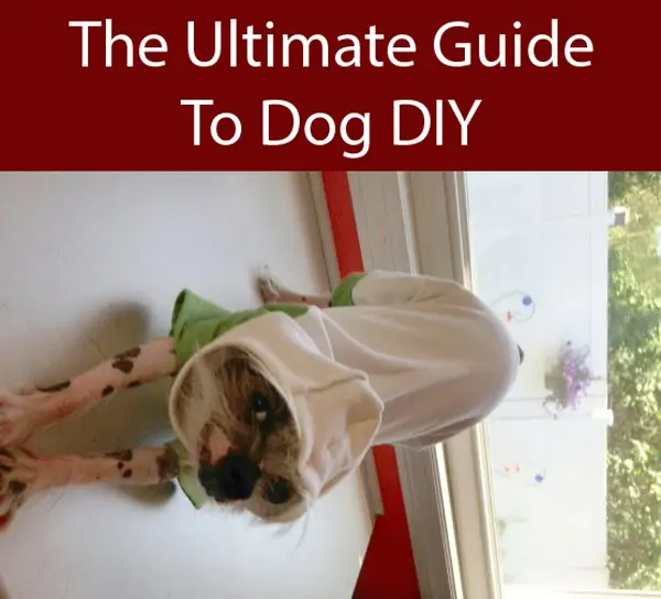 Diy Dogs Clothes
