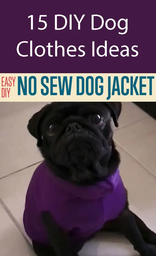 Easy Diy No Sew Dog Jacket