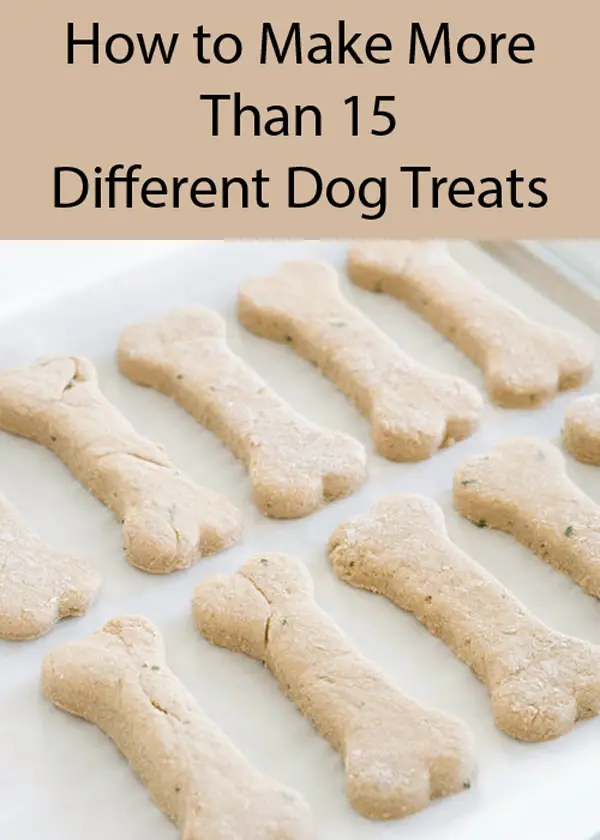 Easy Two-Ingredient Homemade Dog Treats