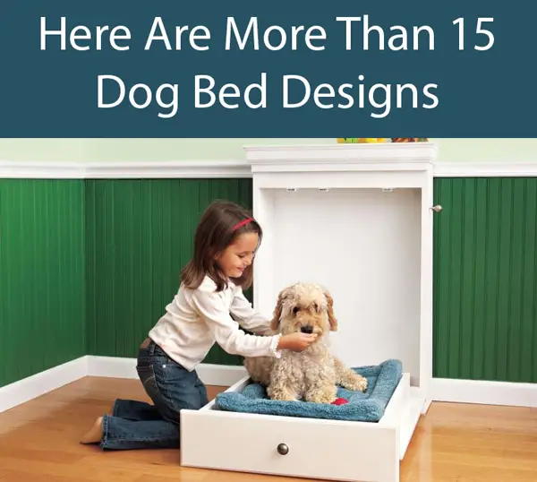 How To Build A Murphy Bed For Your Dog