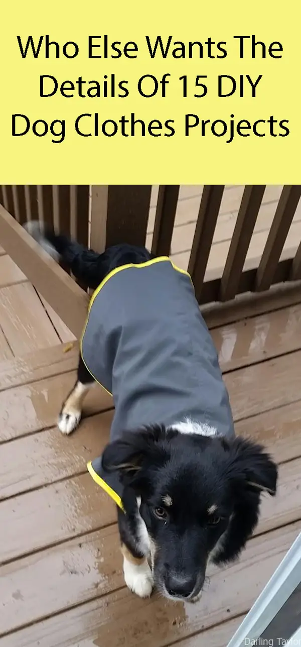 How To Sew A Dog Coat From An Old Rain Coat