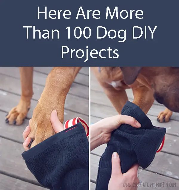DIY Dog Mittens For Muddy Paws