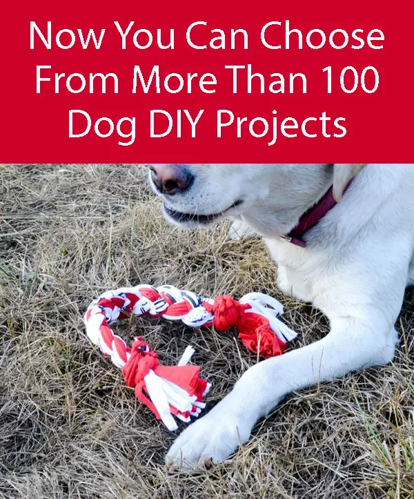 Dog  toy made from old t-shirts