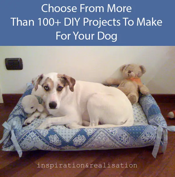 Cheap and Chic Pet Bed