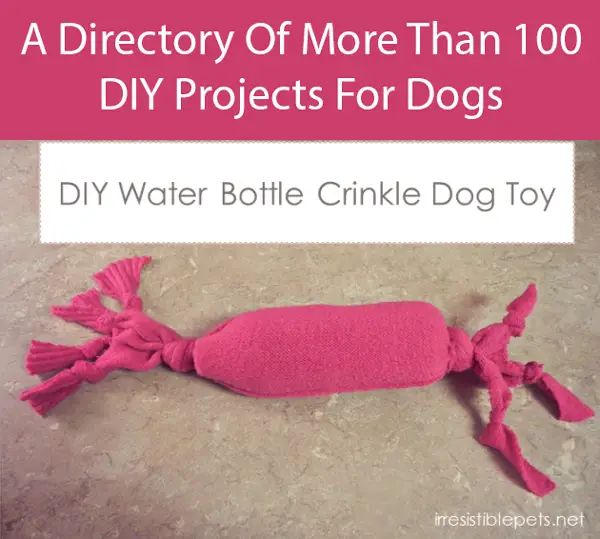 DIY Dog Crinkle Toy