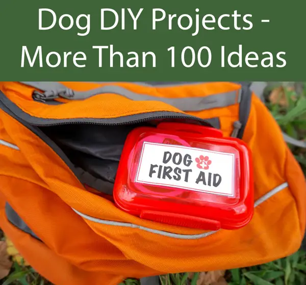 Mini-Dog-First-Aid-Kit