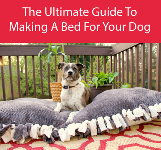 15 Designs for DIY Dog Beds – Follow Step By Step Instructions
