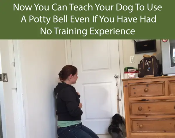 Now You Can Teach Your Dog To Use A Potty Bell Even If You Have Had No Training Experience