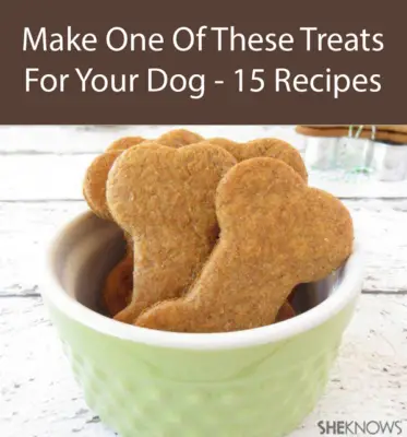 Make Your Own Dog Treats- 15 Easy To Make Recipes