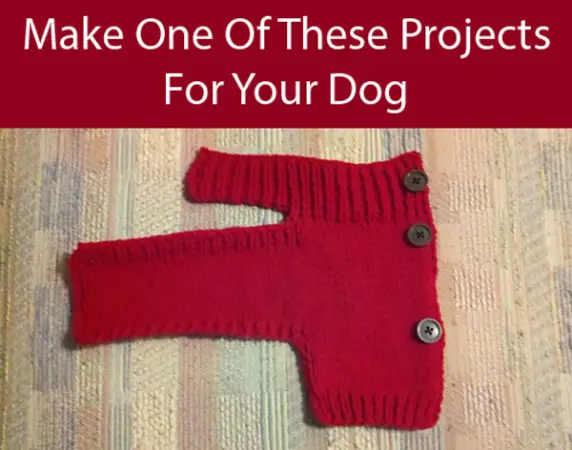 The Ultimate Guide To Dog DIY Projects – Part 6