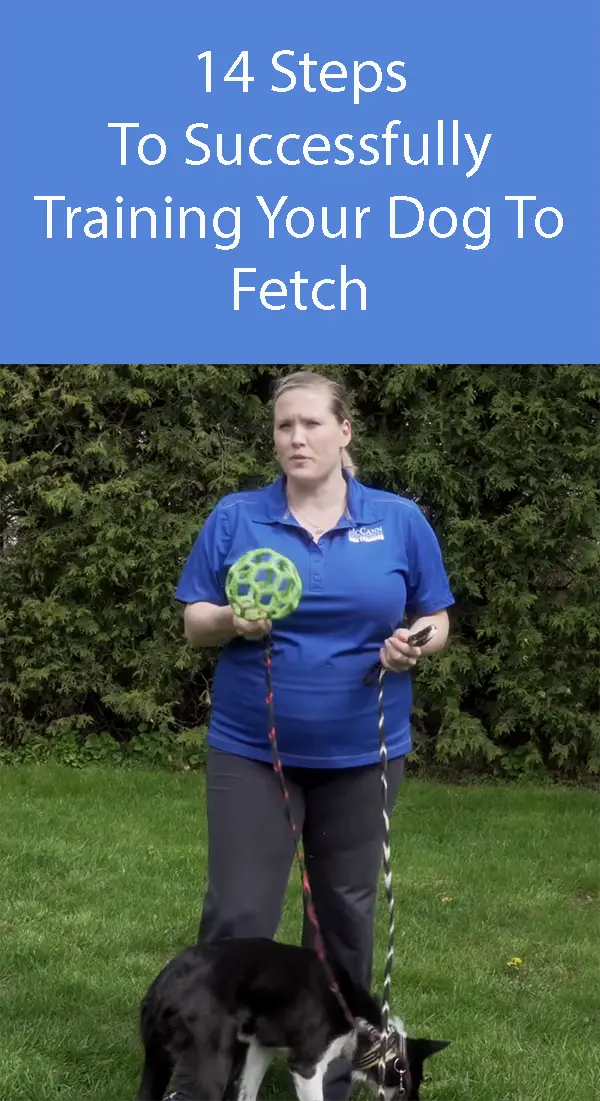 teaching fetch