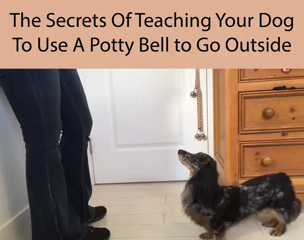 The Secrets Of Teaching Your Dog To Use A Potty Bell to Go Outside