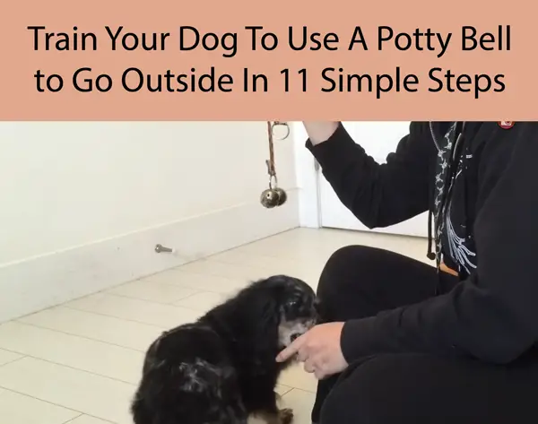 Train Your Dog To Use A Potty Bell to Go Outside In 11 Simple Steps