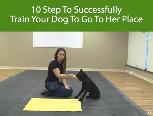 10 Step To Successfully Train Your Dog To Go To Their Place