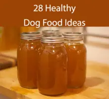 28 Dog Food Recipes – Using Natural Healthy Ingredients