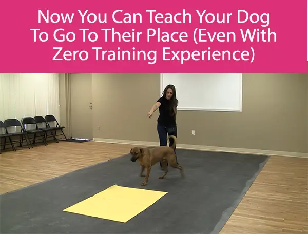 Now You Can Teach Your Dog To Go To Their Place (Even With Zero Training Experience)