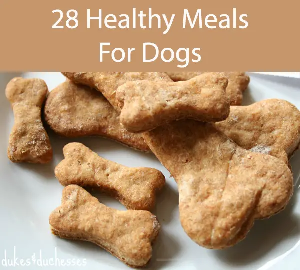 28 Healthy Meals For Dogs