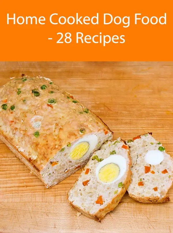 Home Cooked Dog Food - 28 Recipes