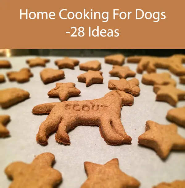 Home Cooking For Dogs -28 Ideas