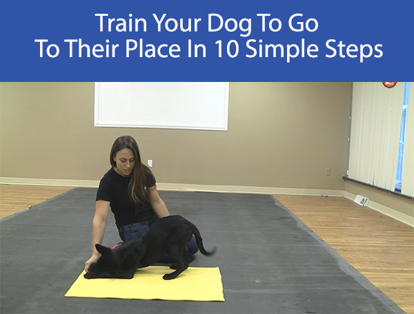 Train Your Dog To Go To Their Place In 10 Simple Steps