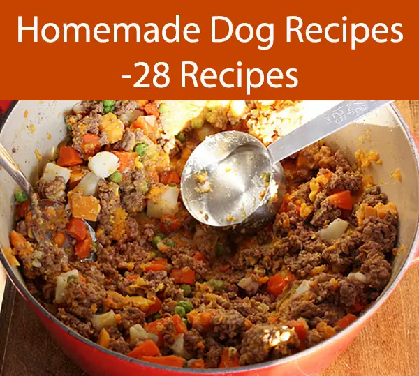 Homemade Dog Recipes -28 Recipes