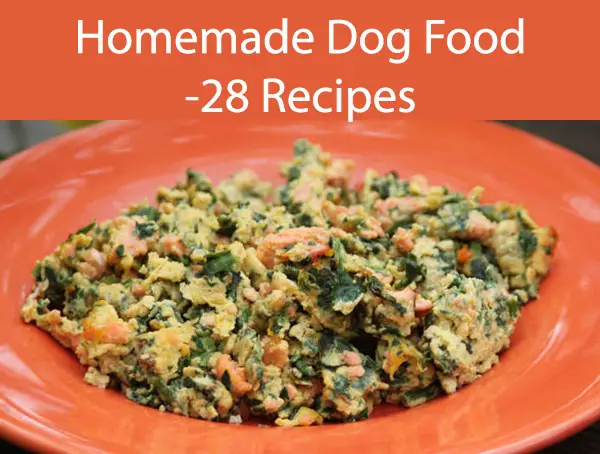 Homemade Dog Food -28 Recipes