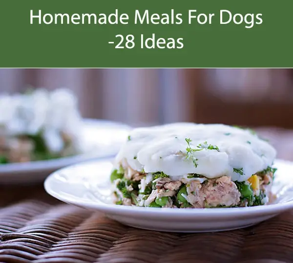 Homemade Meals For Dogs -28 Ideas