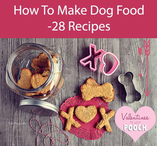 How To Make Dog Food -28 Recipes