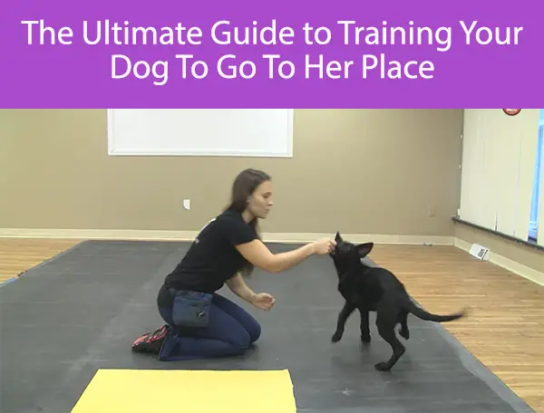 The Ultimate Guide to Training Your Dog To Go To Their Place