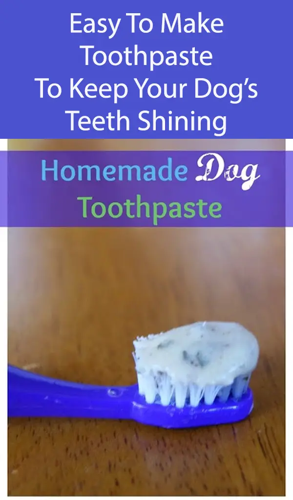 Homemade Toothpaste For Dogs