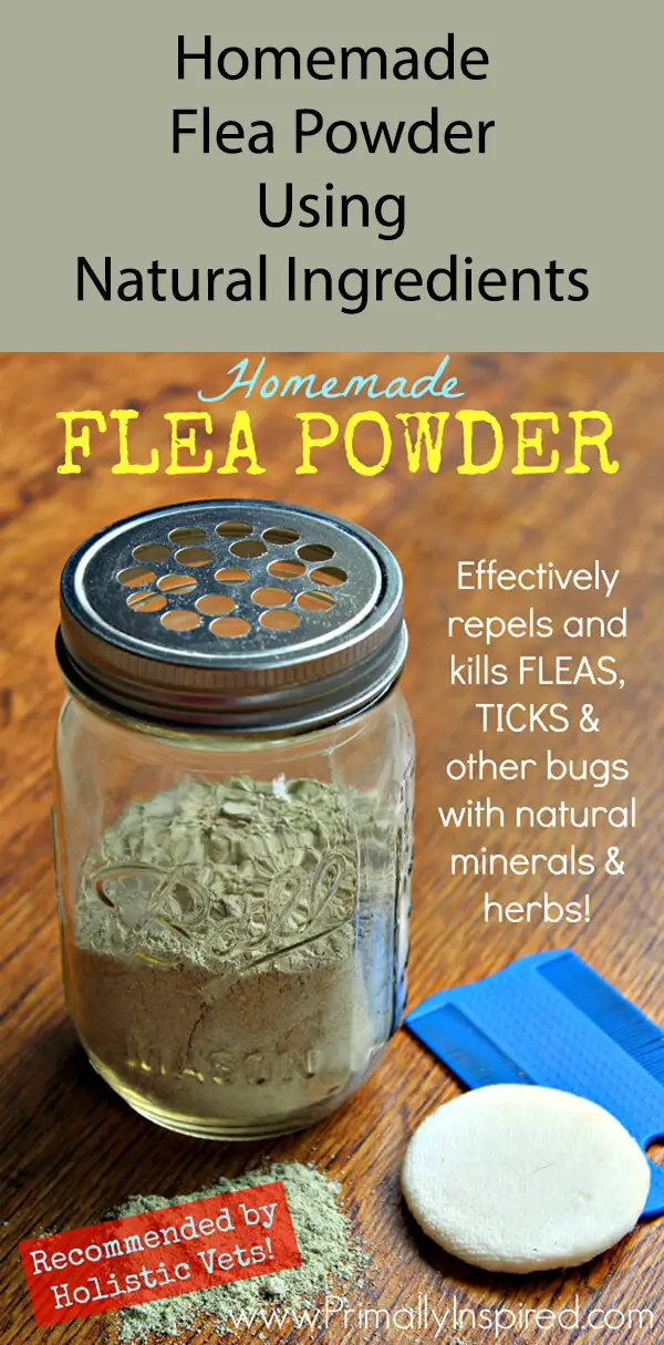 Homemade-Flea-Powder