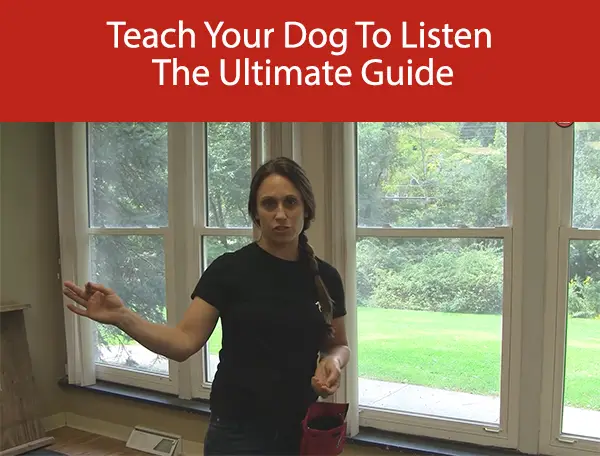 Teach Your Dog To Listen - The Ultimate Guide