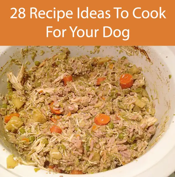 28 Recipe Ideas To Cook For Your Dog