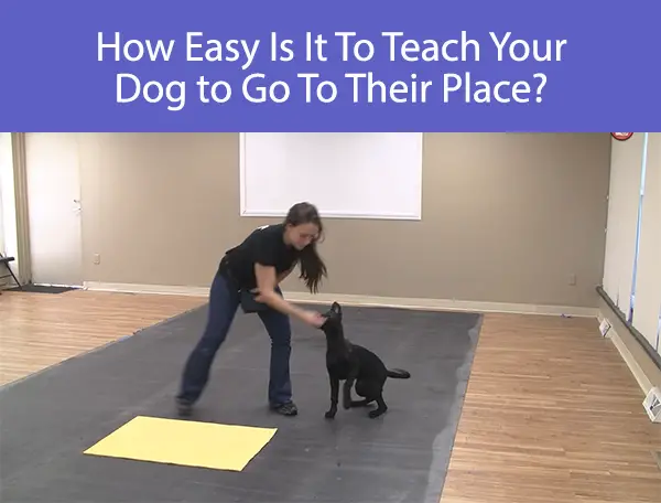 How Easy Is It To Teach Your Dog to Go To Their Place