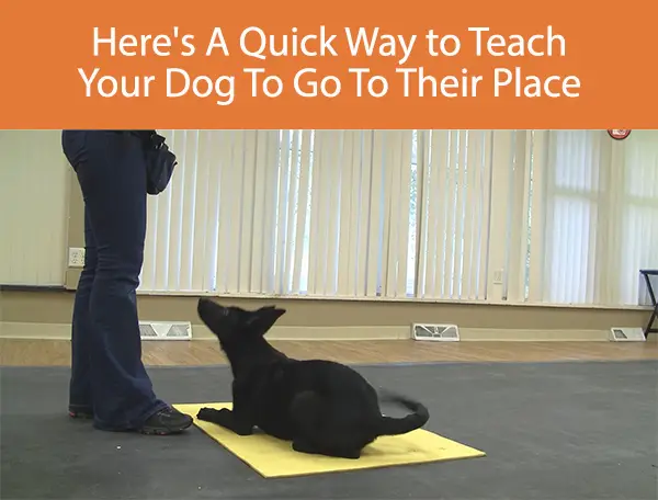 Here's A Quick Way to Teach Your Dog To Go To Their Place