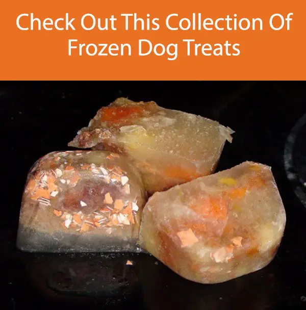 Chicken Liver and Sweet Potato Frozen Dog Treats