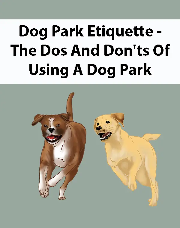 Dog Park Etiquette - The Dos And Don'ts Of Using A Dog Park