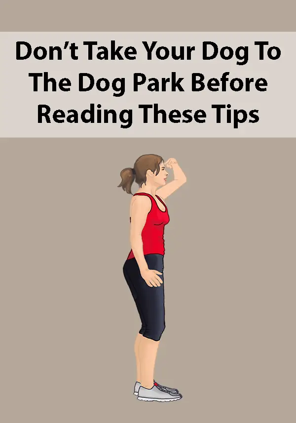 Don’t Take Your Dog To The Dog Park Before Reading These Tips