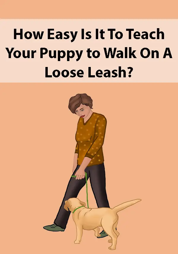How Easy Is It To Teach Your Puppy to Walk On A Loose Leash