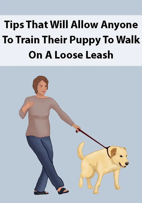 Tips That Will Allow Anyone To Train Their Puppy To Walk On A Loose Leash