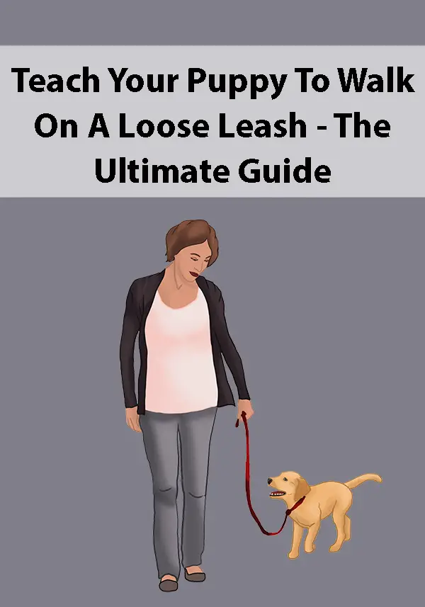 Teach Your Puppy To Walk On A Loose Leash - The Ultimate Guide