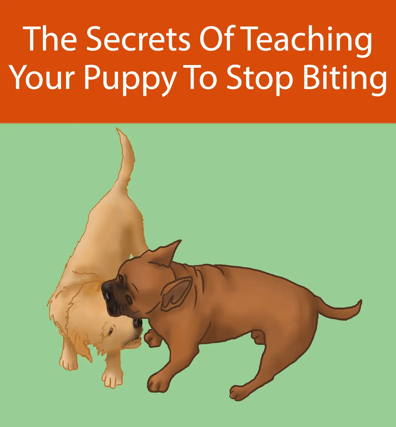 The Secrets Of Teaching Your Puppy To Stop Biting