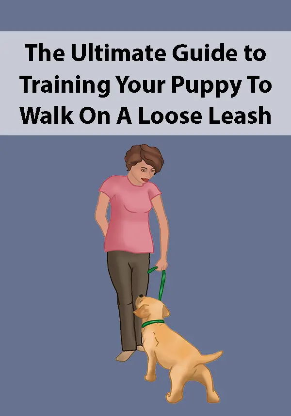 The Ultimate Guide to Training Your Puppy To Walk On A Loose Leash