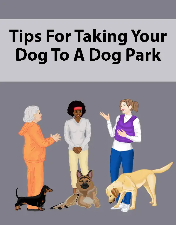 Tips For Taking Your Dog To A Dog Park